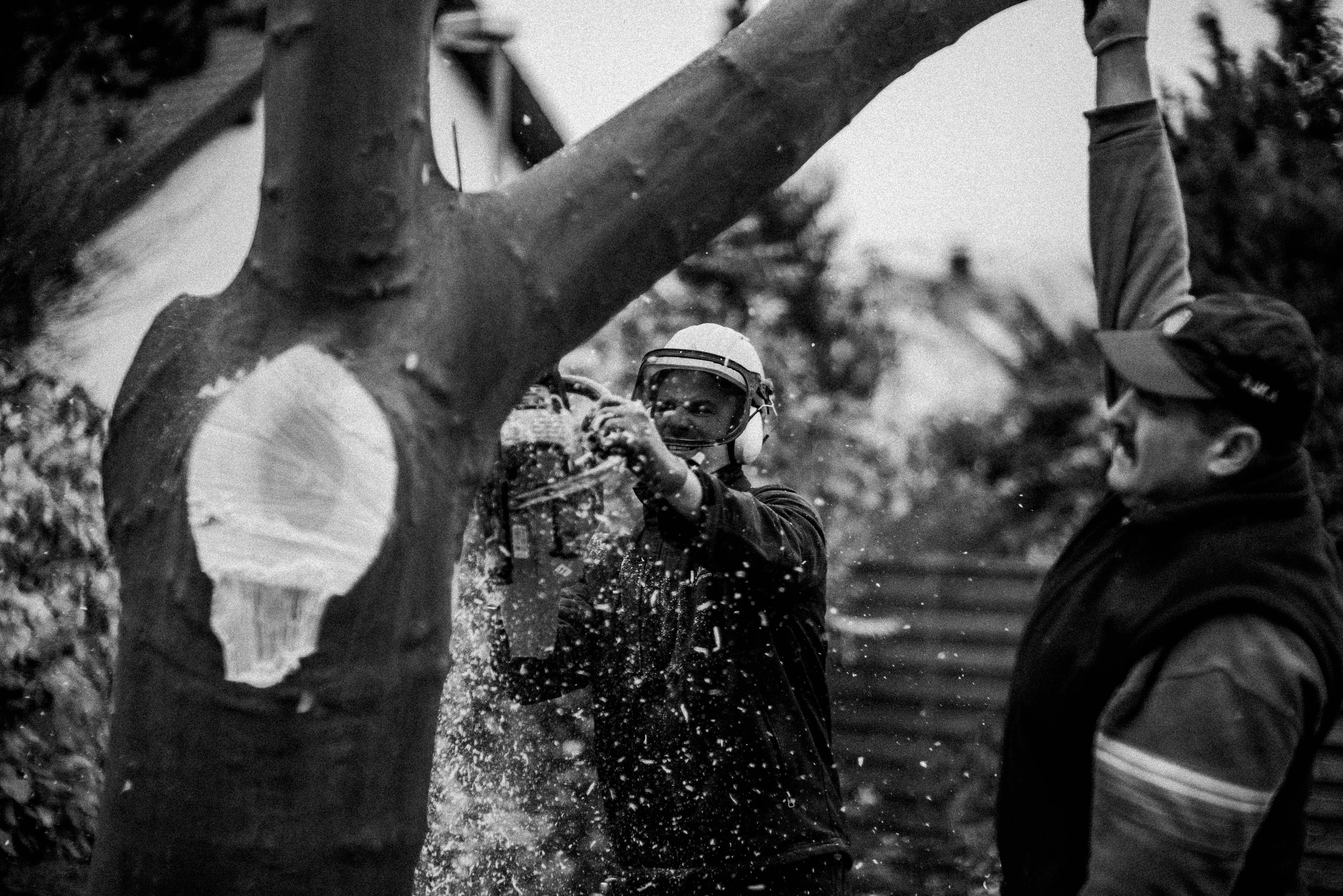 Uprooting plate 15