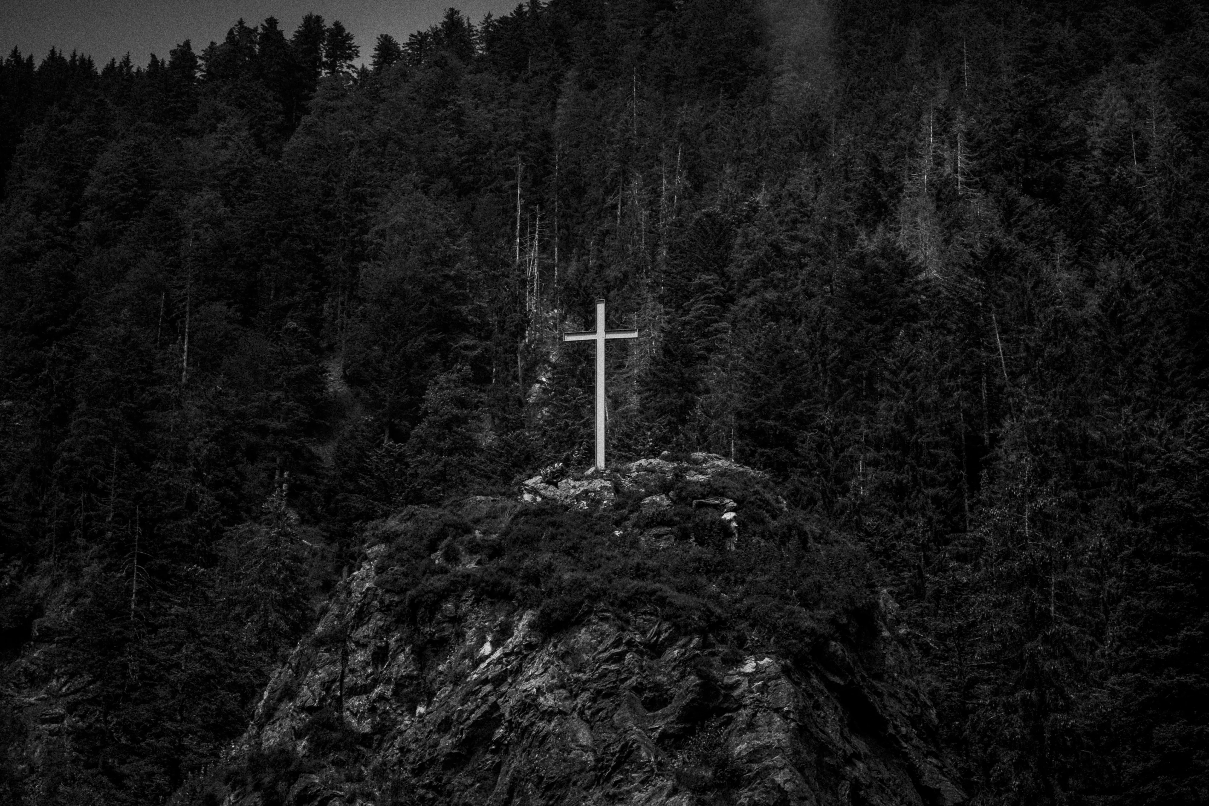 BLACKforest
