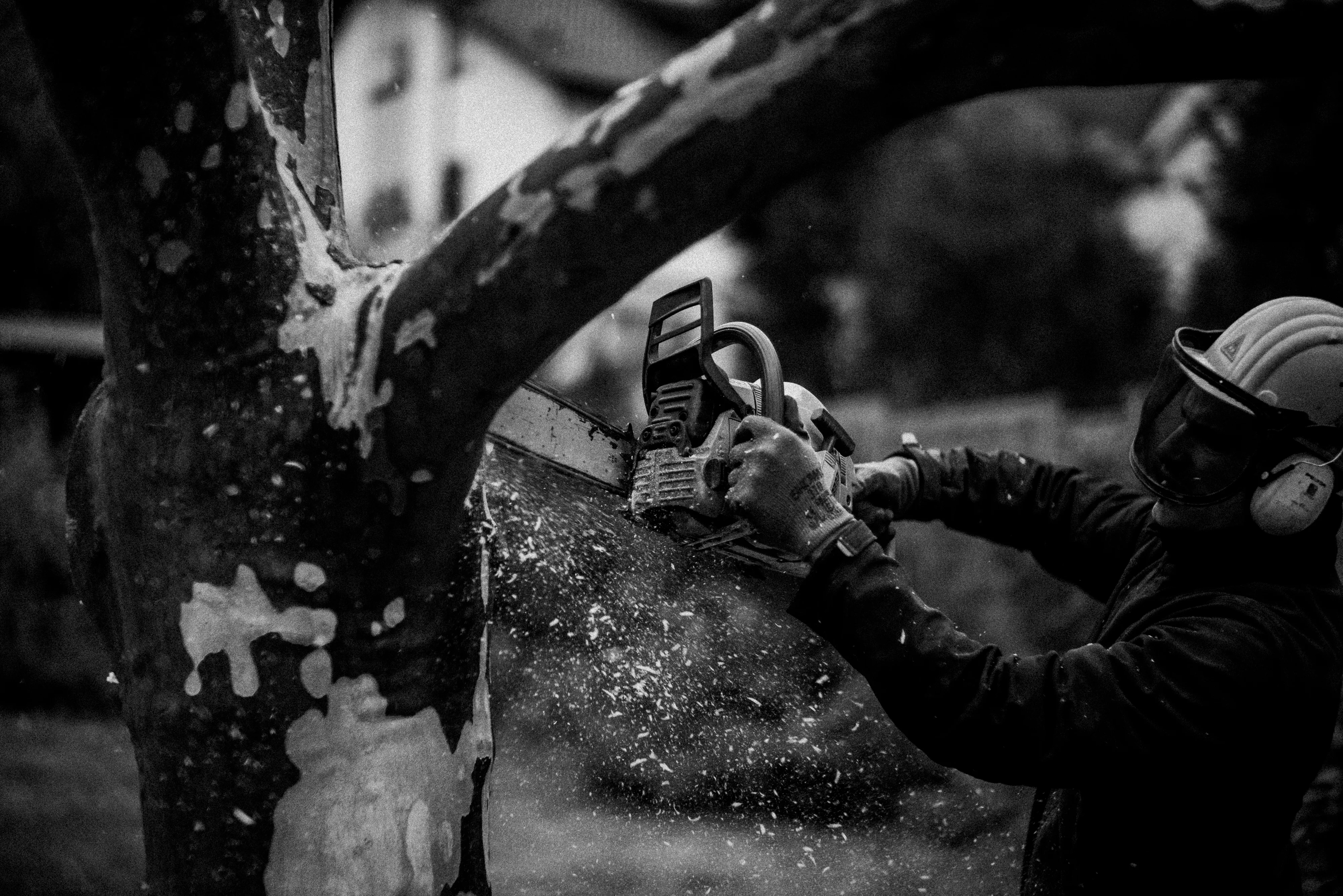 Uprooting plate 13