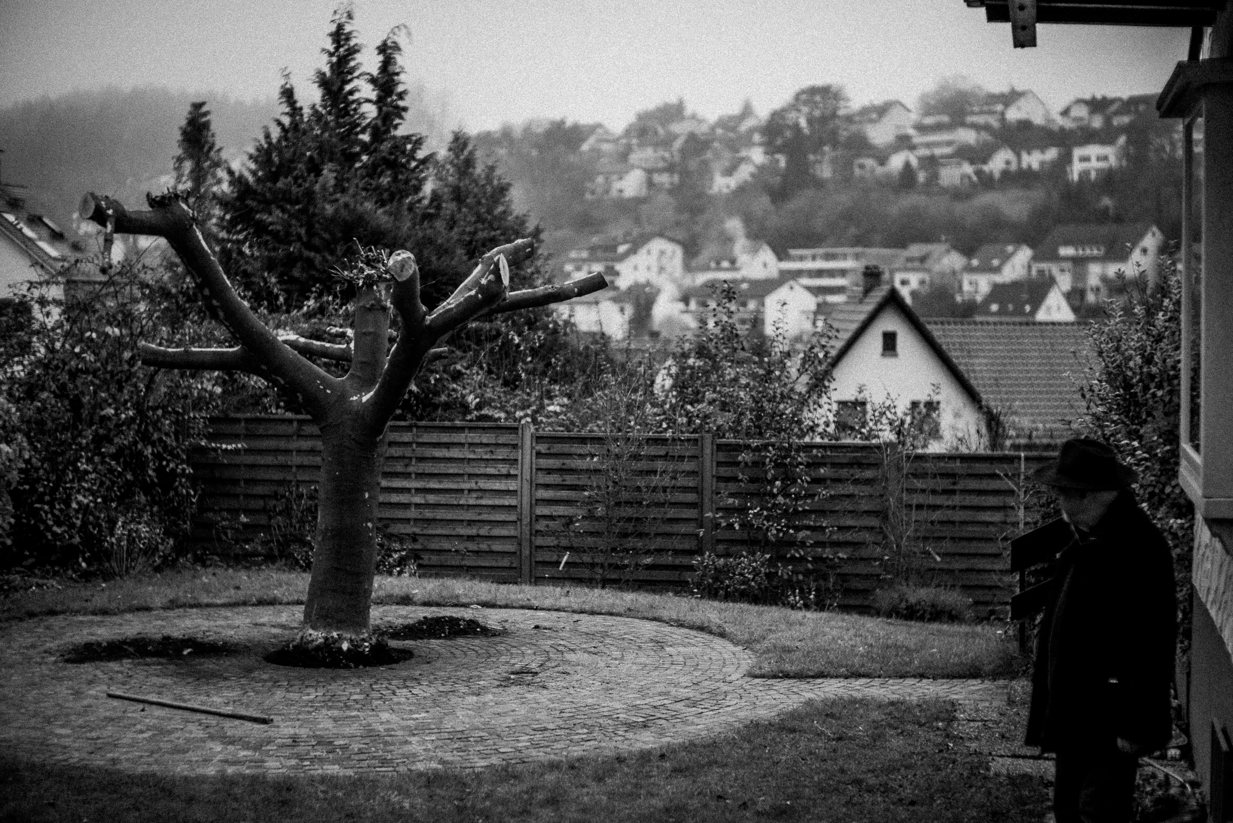 Uprooting plate 4