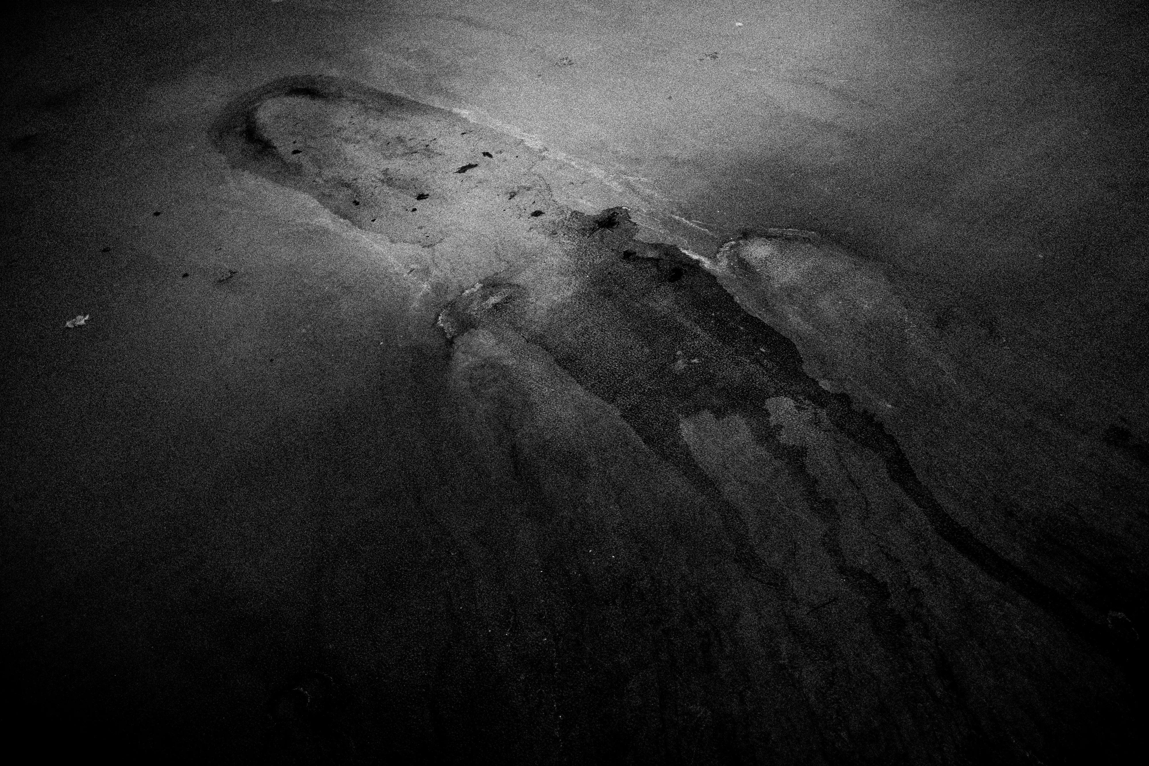 Rugged & Raw plate 5