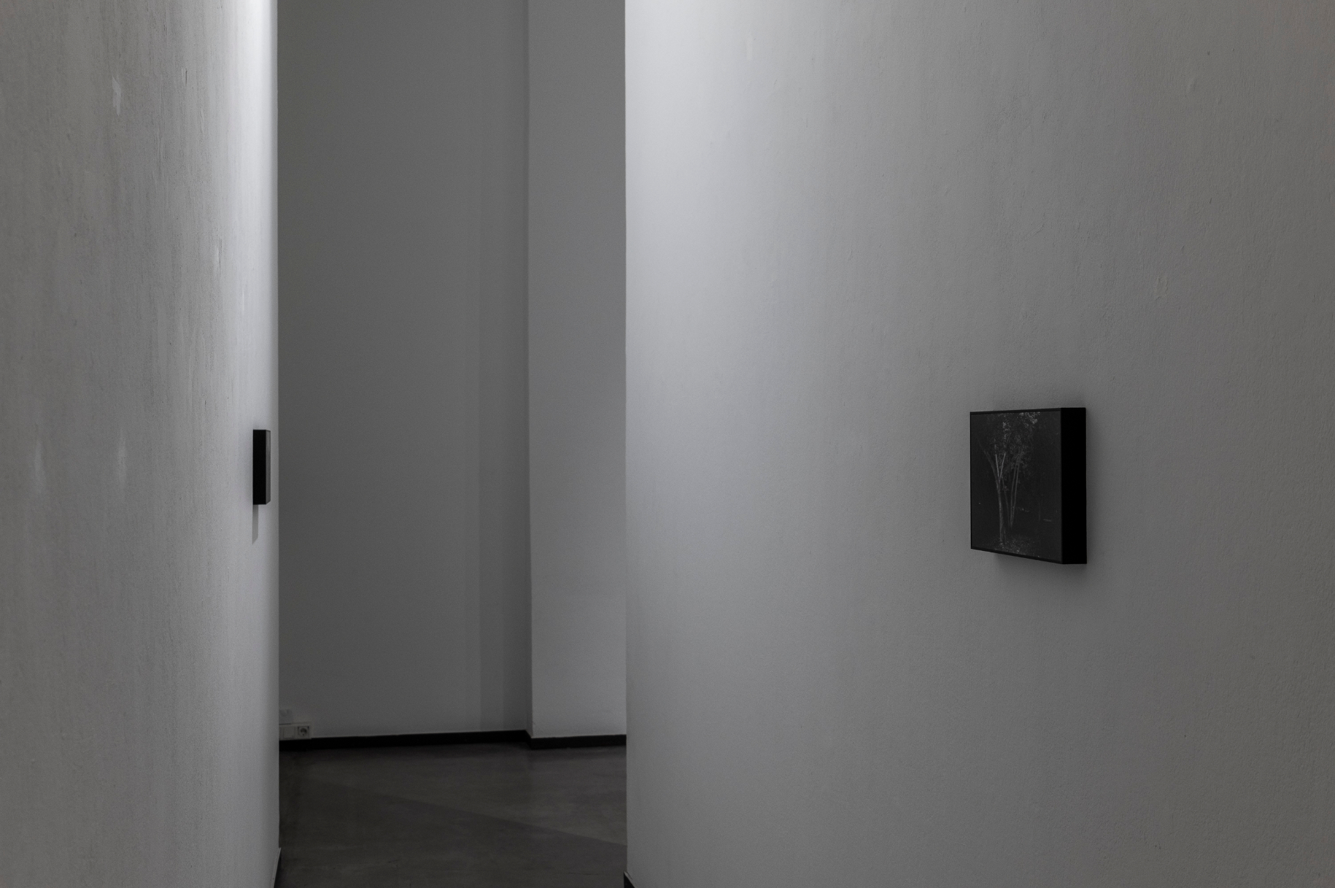 Installation detail — print sequence and negative space