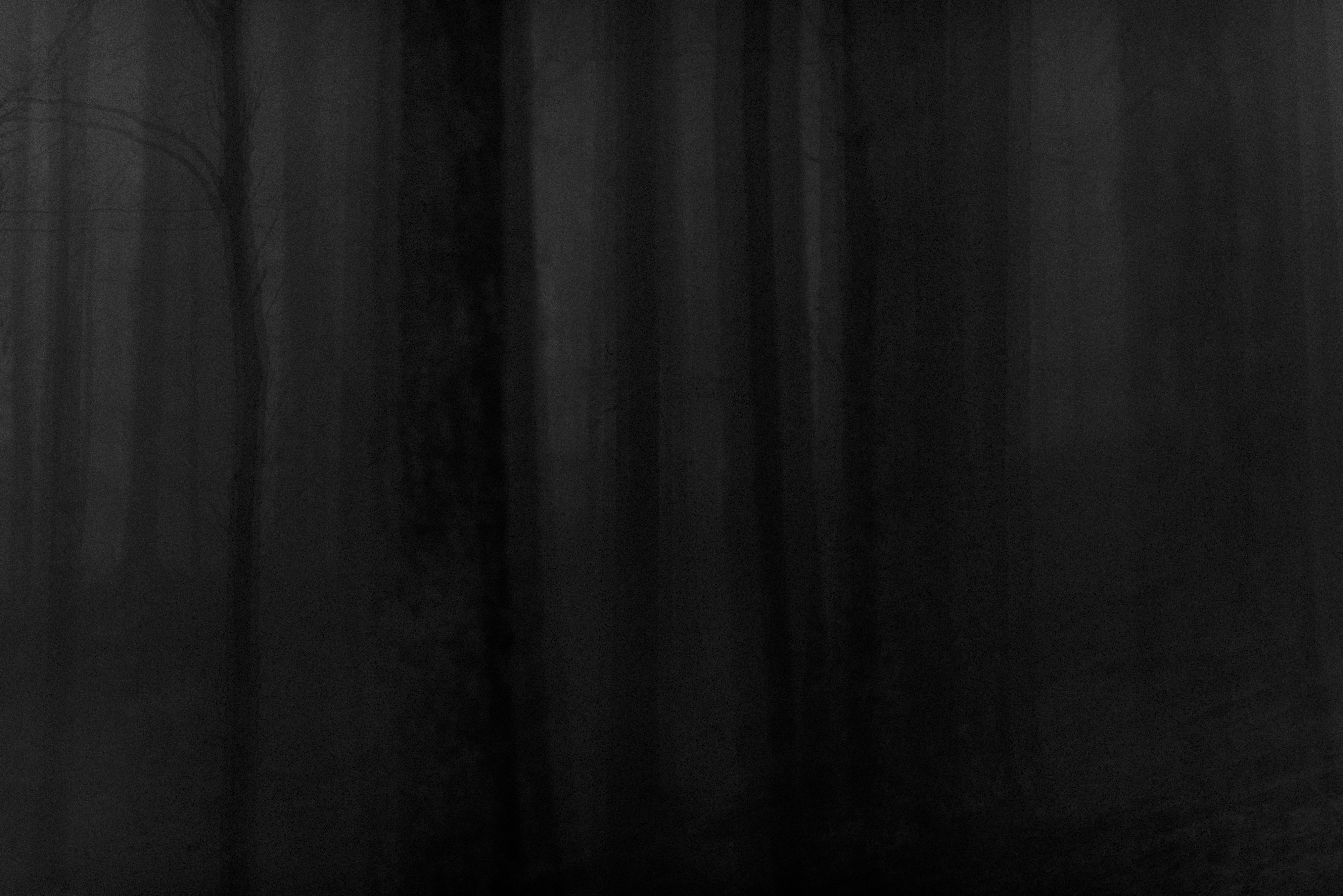 Black Forest study 38