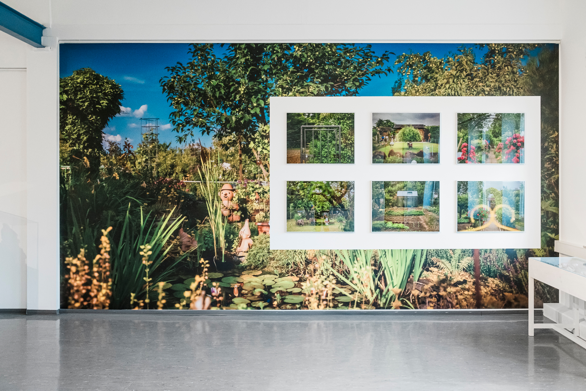 Installation view — garden mural and framed photographic works