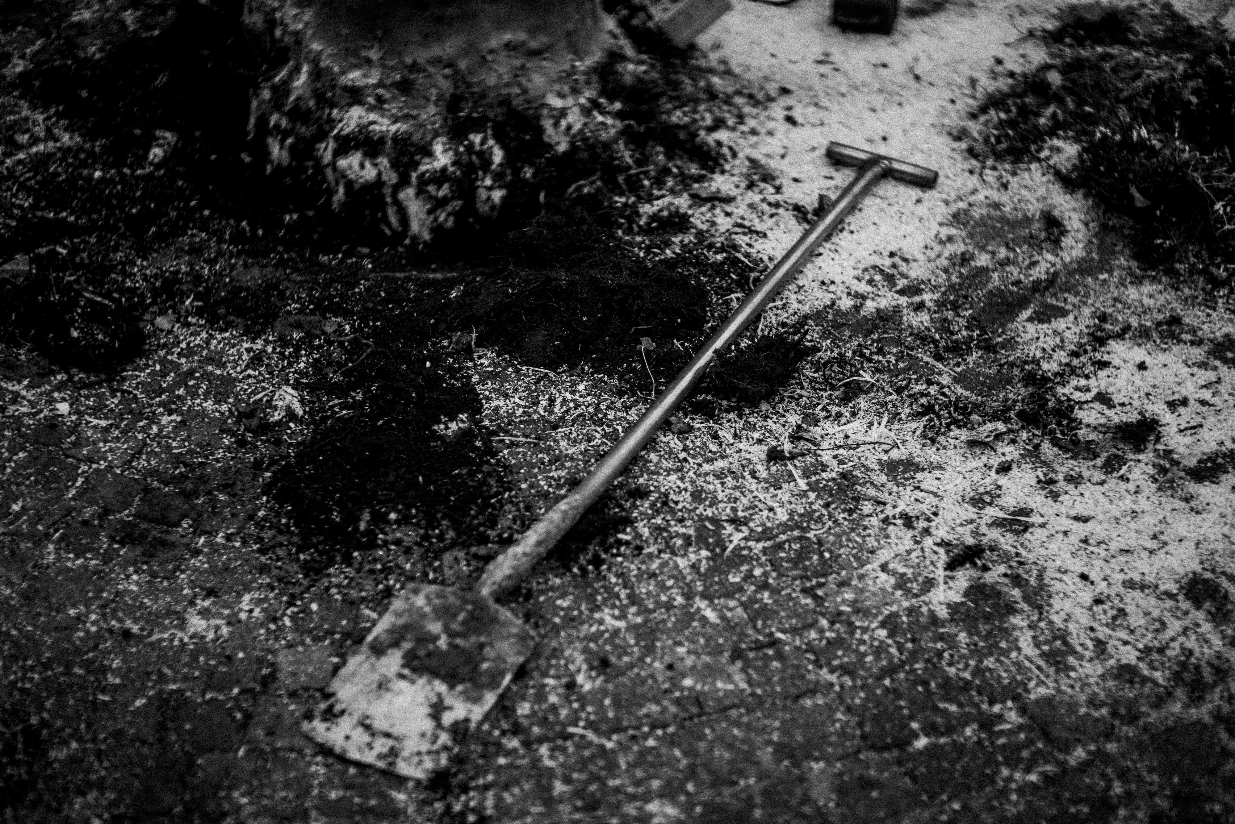 Uprooting plate 19