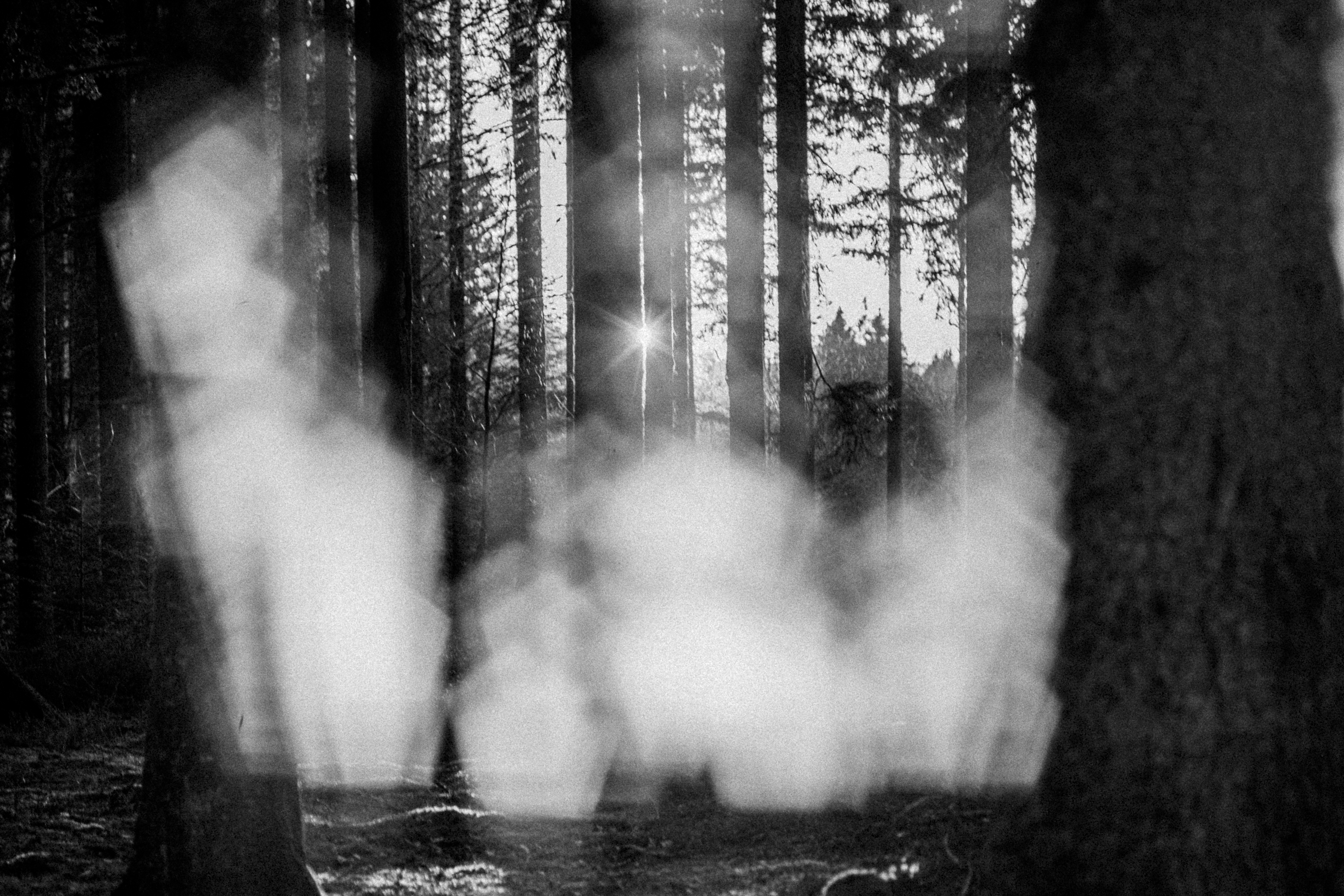 Black Forest study 35