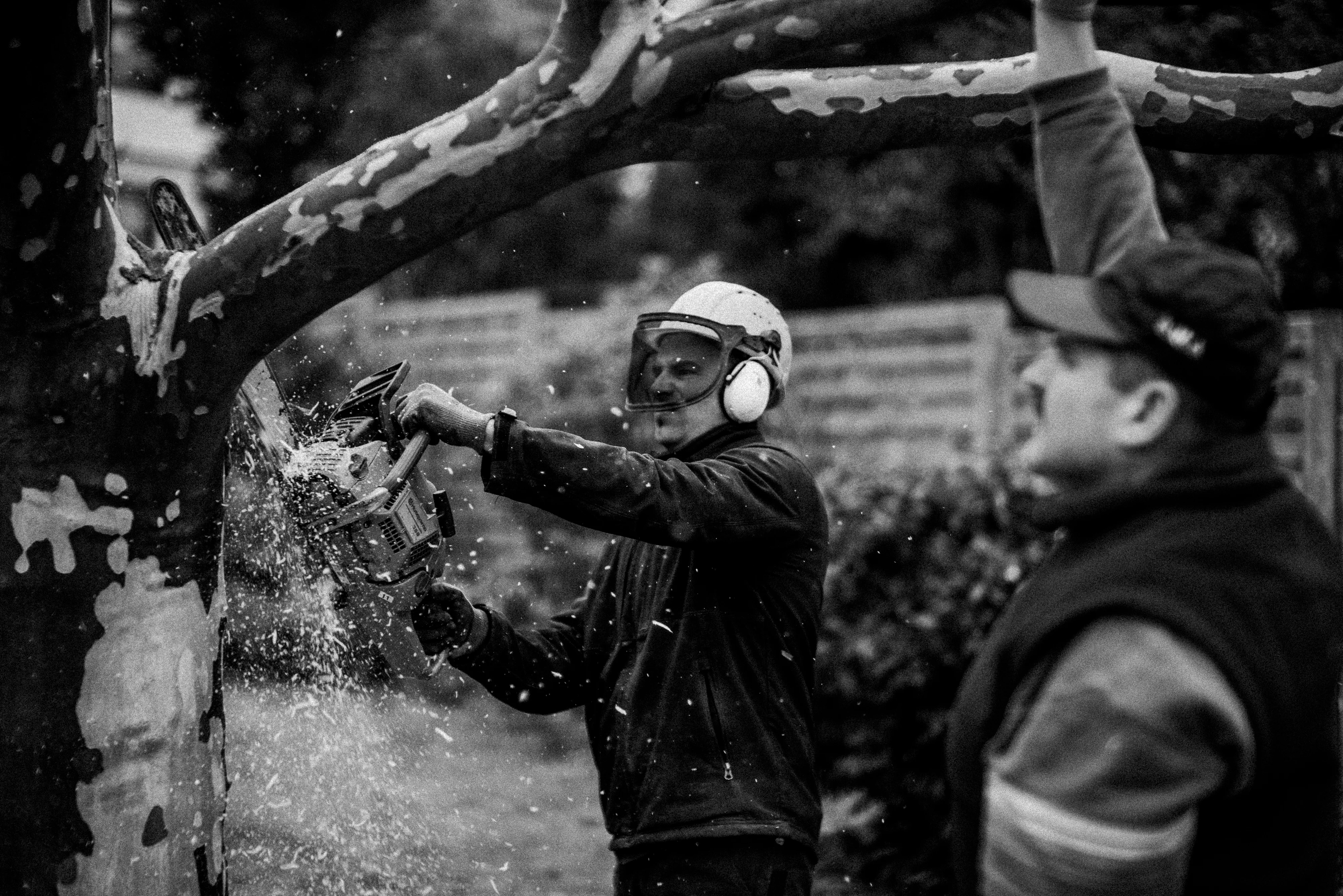Uprooting plate 12