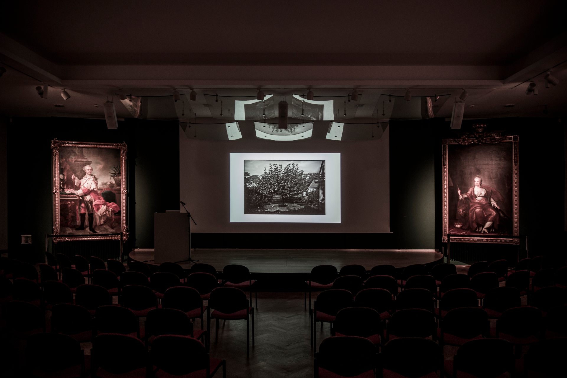 Installation detail — uprooted tree studies in sequence