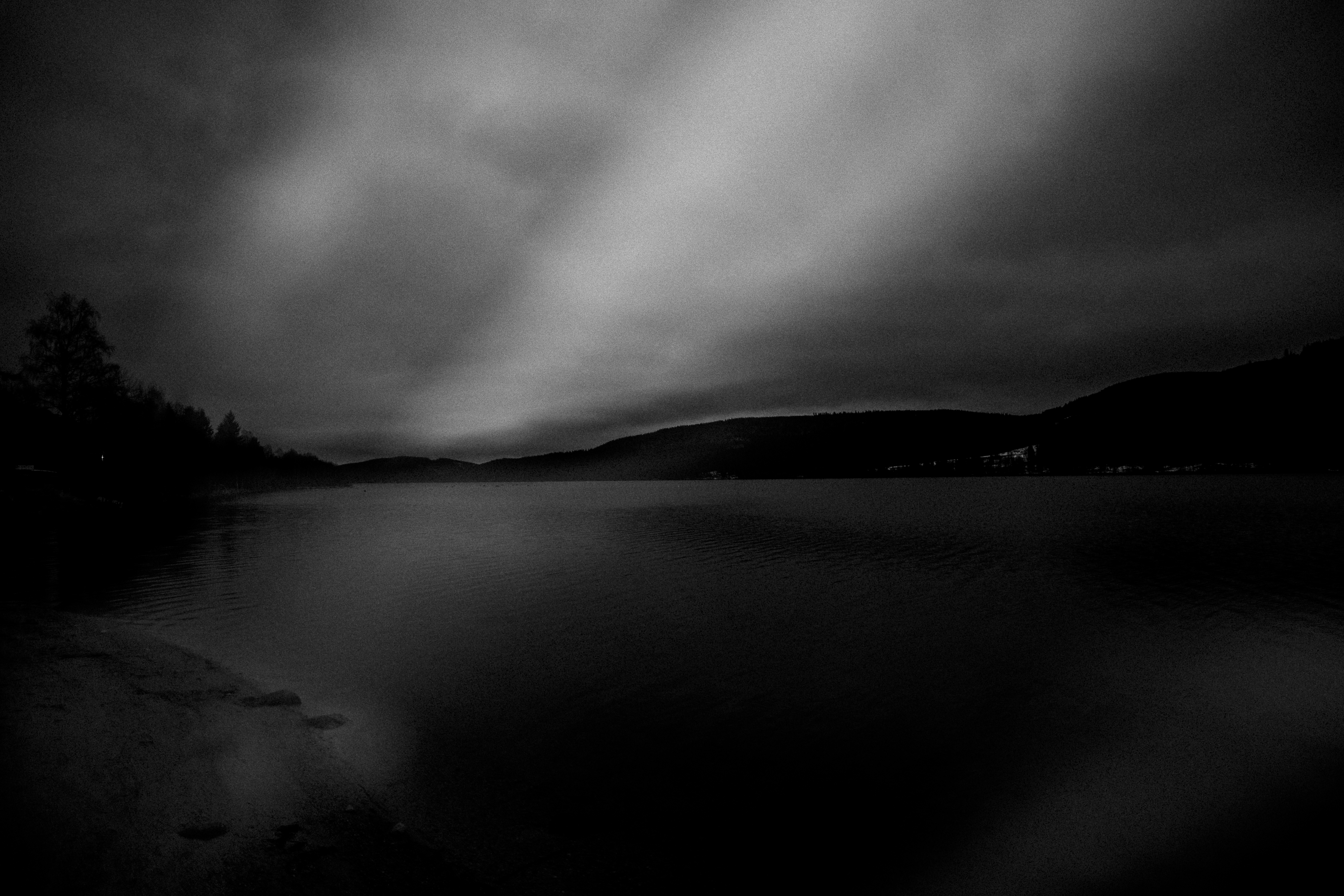 Black Forest study 41