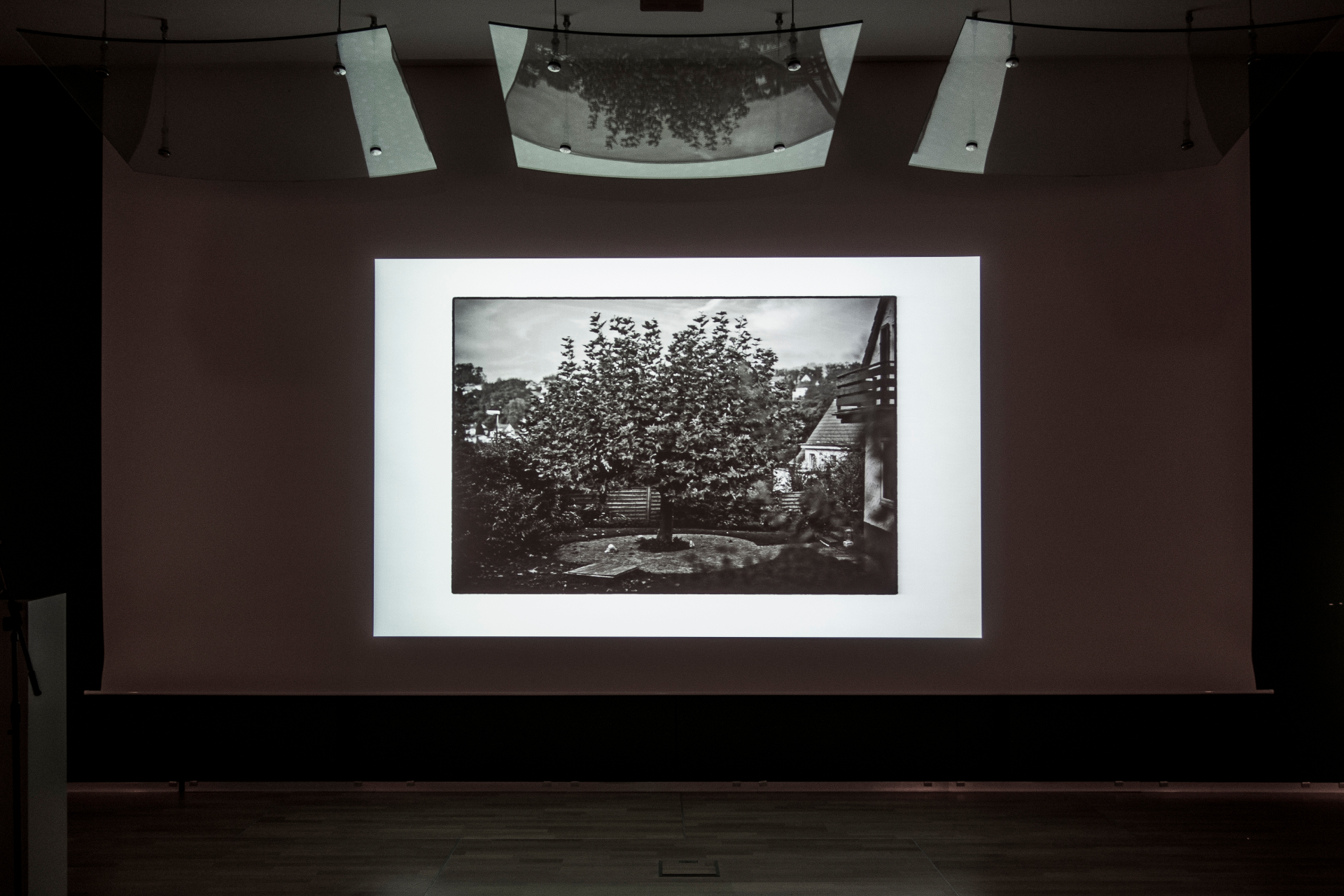 Installation view — UPROOTING in the museum context