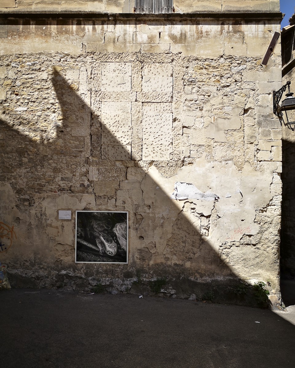 Installation detail — photographic works installed in sequence