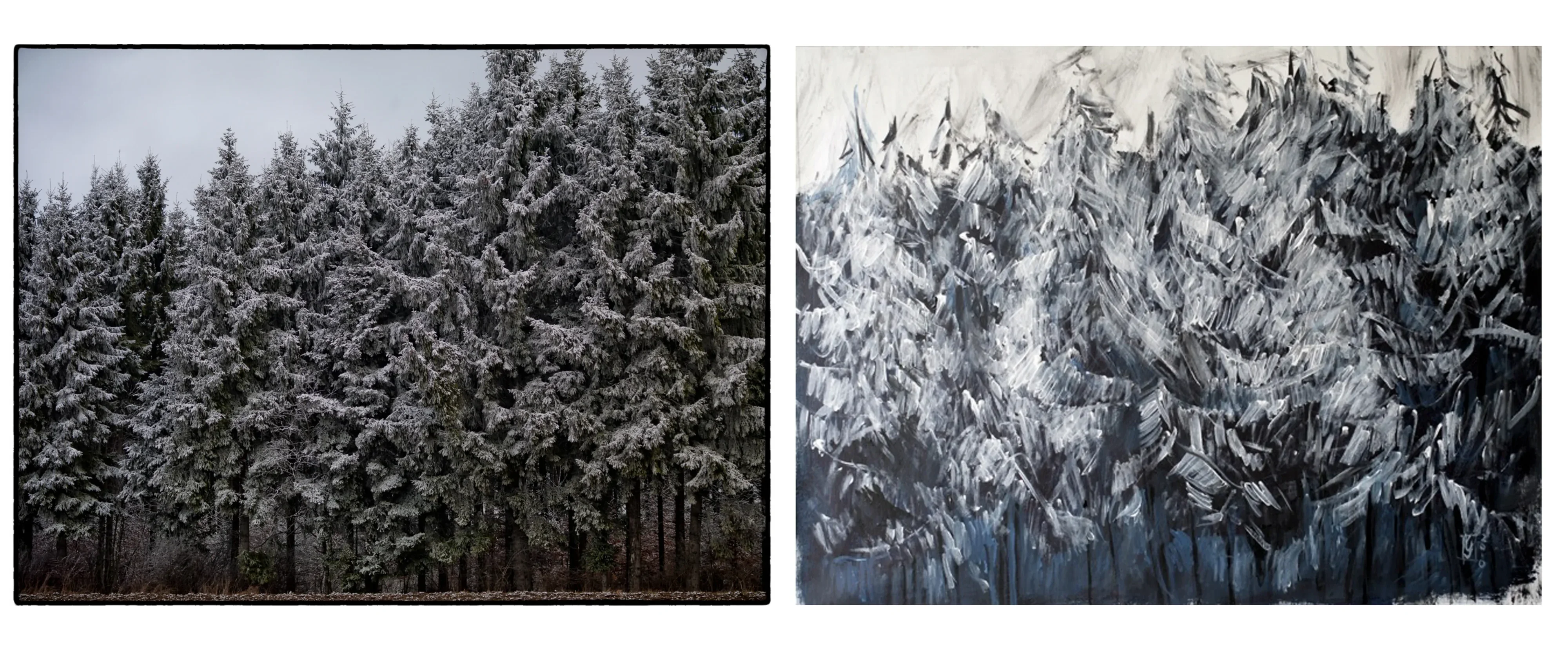 SCHWARZWALD