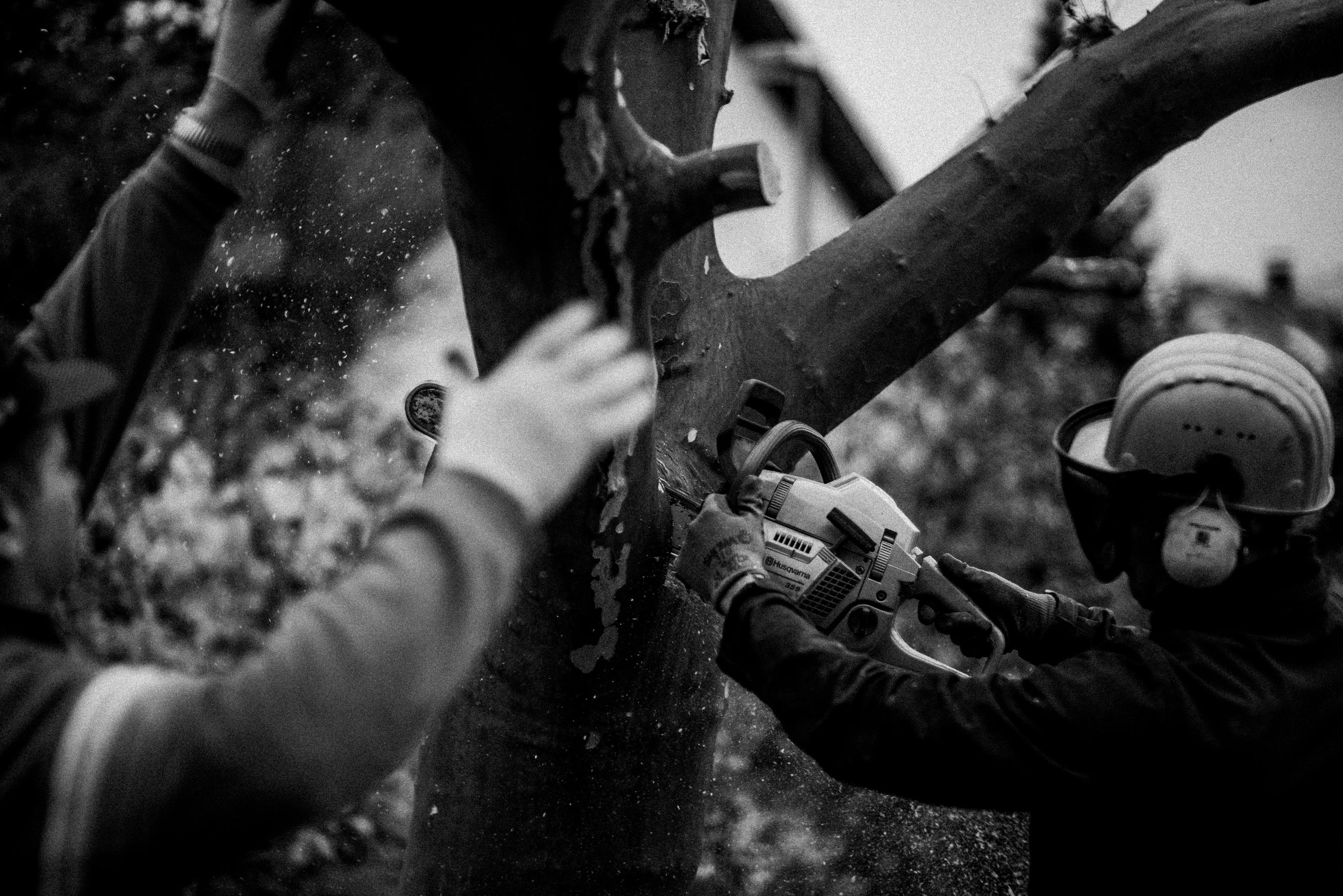 Uprooting plate 10