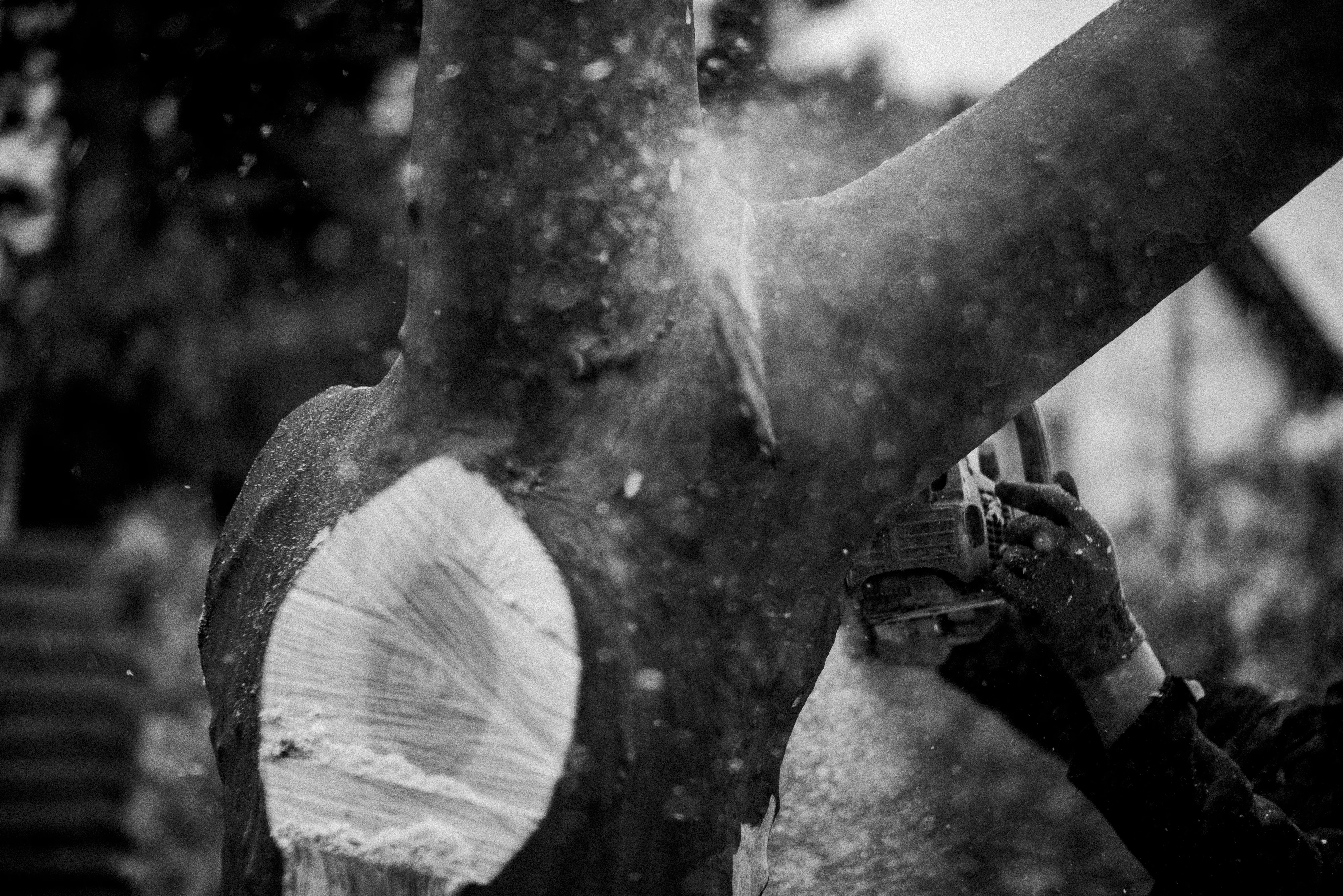 Uprooting plate 16